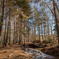 Течёт осень... :: Андрей Хлопонин