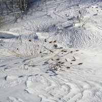 На берегу речки :: Сергей Цветков