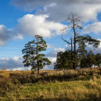 На окраине  села :: Владимир Гришин