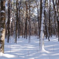 Февраль, побережье Балтийского моря, Калининградская область :: Рита Симонова