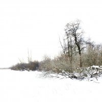 "Белое безмолвие" :: AleksSPb Лесниченко