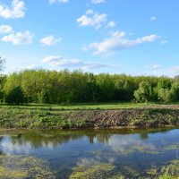 Местная река. :: Виктор 