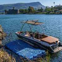 Гиносар :: Eugene *