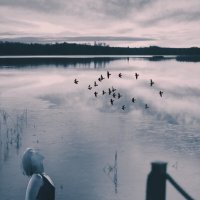 Возьмите меня в дорогу :: liudmila drake