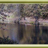 У пруда :: Владимир Кроливец