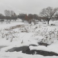 Весна, начало марта :: Игорь Ч.