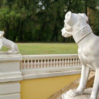 Архангельское :: Николай 