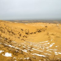 Пустыня Сарыкум зимой. Дагестан. :: Дина Евсеева