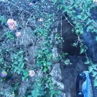 115 (157) :: CLOSE WAYS ALL