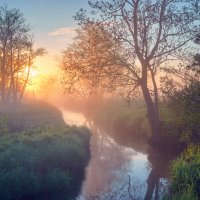 «Распевал им песни под метель о лете...»© :: Roman Lunin
