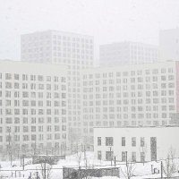 Мартовский снегопад :: Валерий Иванович