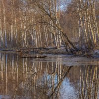 **** :: Елизавета .