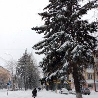 *** :: Валентина Береснева