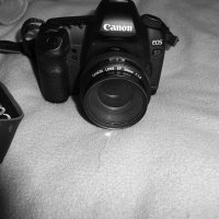 Мечты о ч/б Лейке 33. :: Михаил Елочкин