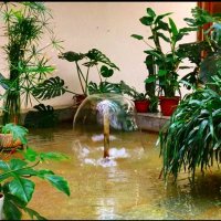 Приятный уголок! :: Надежда 