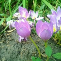 ,,, :: Сергей Тимоновский