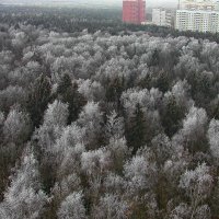 Троицк :: Tata Wolf