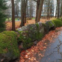 Аллея в санатории "Северная Ривьера".Замшевые валуны. :: Лилия *