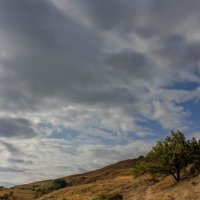 Мержаново :: Оксана Новик 