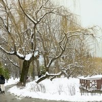 Пруд городского парка весной :: Олег Стасенко