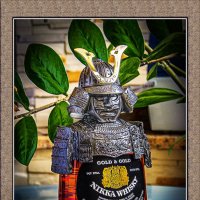 ЯПОНСКОЕ ВИСКИ :: Владимир Кроливец