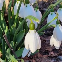 Тихий вечер :: Наталья 