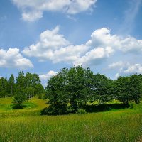 Тульское раздолье. :: Александр Дмитриев