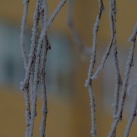 "Февраль... Достать чернил и плакать..." Б.Пастернак :: Syntaxist (Светлана)