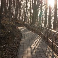 Обустроенная дорога к Святому источнику на гору Физиабго, 992 метра над уровнем моря :: Игорь Сикорский