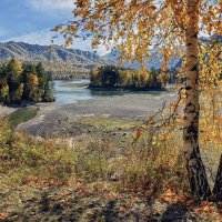 Осень на Чемале :: елена беликова