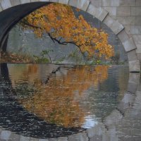 Карпин мост........ :: Юрий Цыплятников