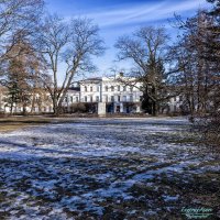 Весна в парке Лесотехнической академии :: Евгений 