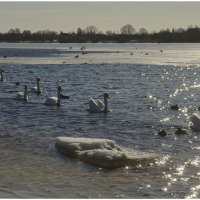 Эскадра... :: Aleksandr Gal