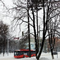 *** :: Валентина Береснева