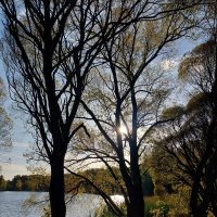 ... :: Маргарита Б