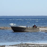 весна :: ИННА ПОРОХОВА