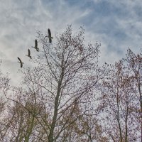 (°-°) :: Jakob Dick