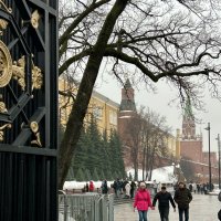 Александровский сад :: Натали 