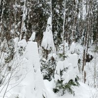 подготовка к концерту :: Владимир 