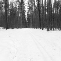 Мечты о ч/б Лейке 40. Объектив Лейка. :: Михаил Елочкин