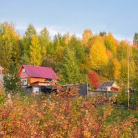 Дачи на Крайнем Севере. :: Николай Зиновьев