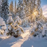 Уже весна! Но зима ни как покидать нас не хочет). :: Сергей Винтовкин