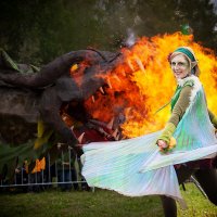 На празднике дракона :: Valziwa 