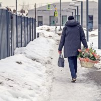 А вы купили женщинам цветы? :: Валерий Иванович