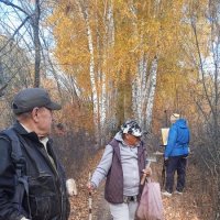 в берёзовой аллее :: Елена Шаламова