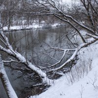 Зима. :: Александр. AVG100 ---