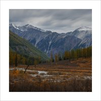 * :: Александр Иванов