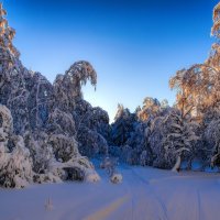 На распутье :: Vladimbormotov 