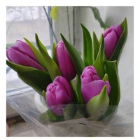 С праздником! :: Galaelina ***