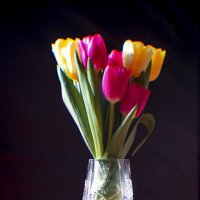 С Праздником весны! :: Константин Вавшко